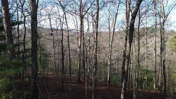 1.7 Acres of Land for Sale in Ranger, Georgia