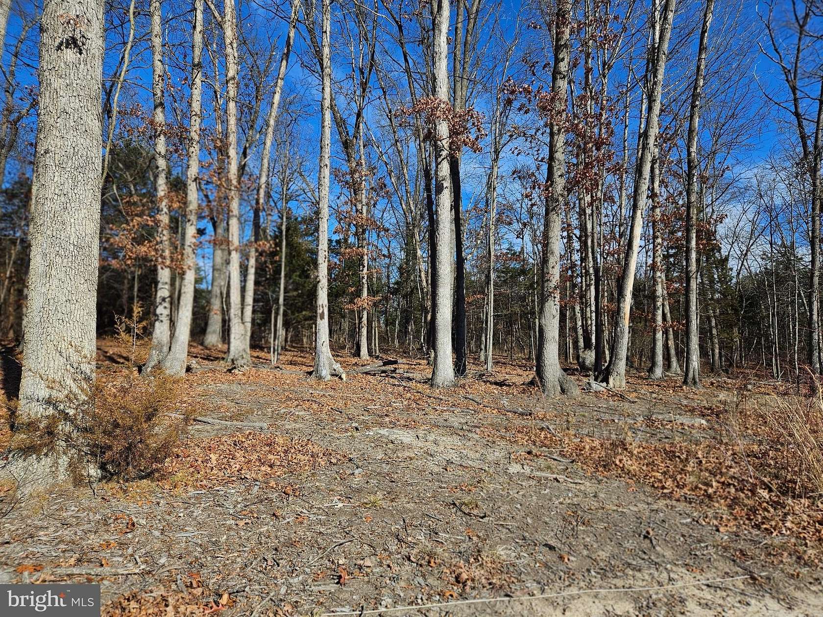 10 Acres of Land for Sale in Middletown, Virginia