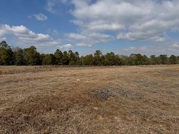 2 Acres of Residential Land for Sale in Black, Alabama