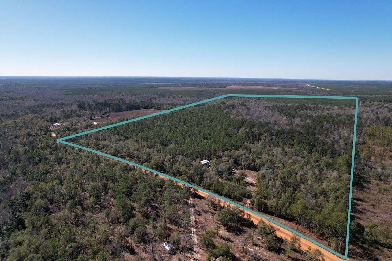 80.4 Acres of Recreational Land for Sale in Quincy, Florida