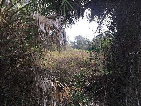 0.23 Acres of Residential Land for Sale in North Port, Florida