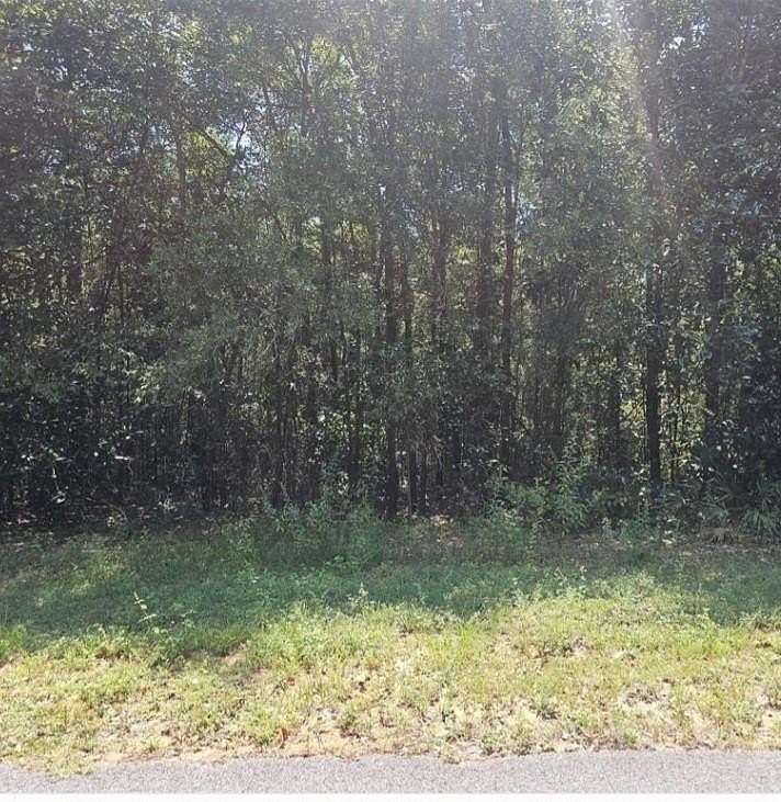 0.43 Acres of Residential Land for Sale in Mobile, Alabama