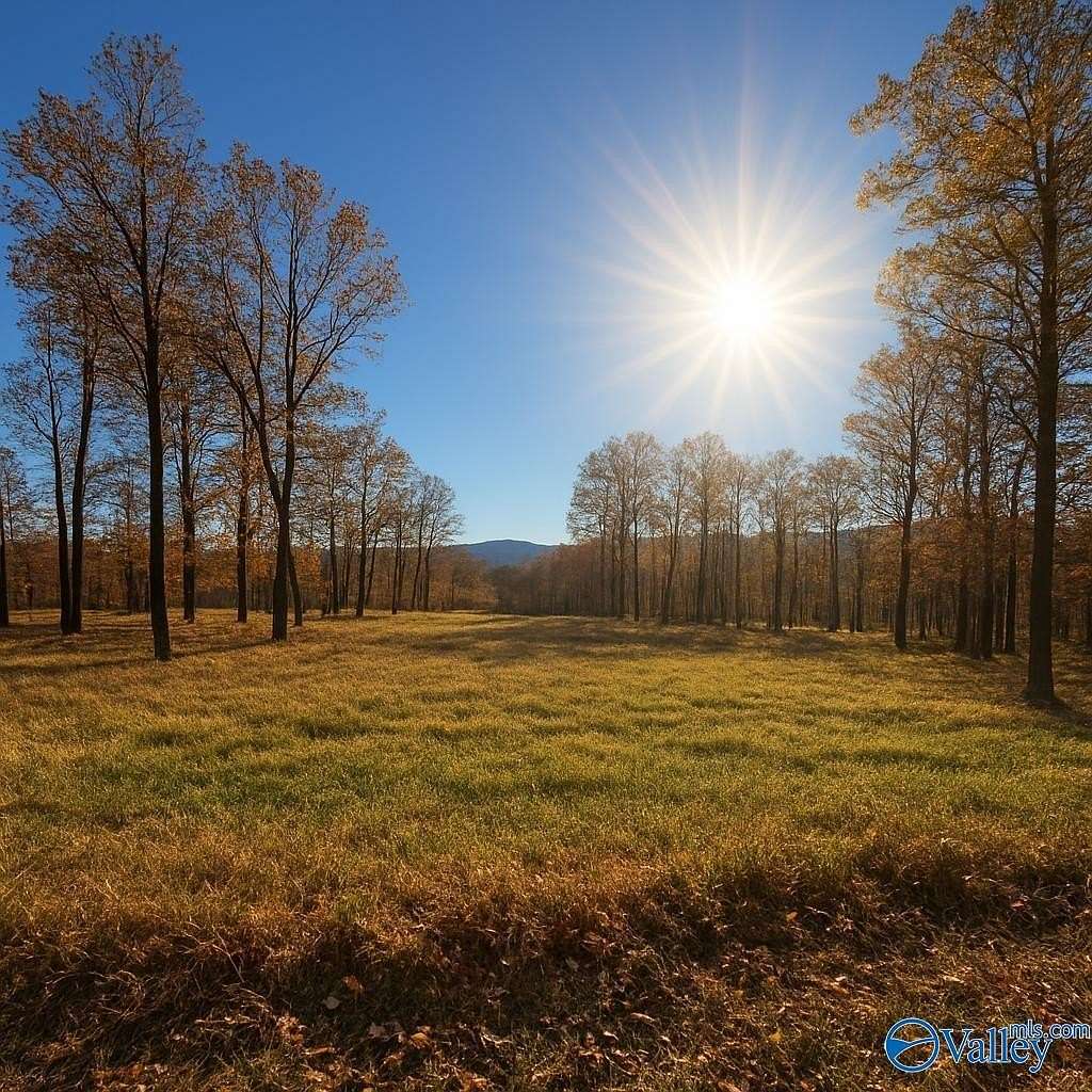 6 Acres of Residential Land for Sale in Owens Cross Roads, Alabama