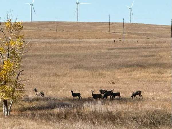 1,360 Acres of Agricultural Land for Sale in Matheson, Colorado