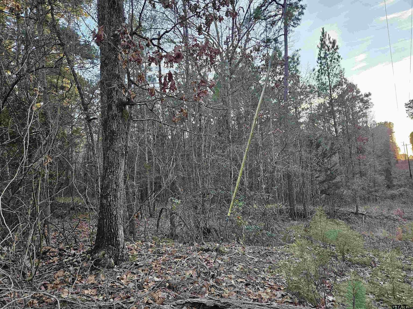 2 Acres of Residential Land for Sale in Gilmer, Texas