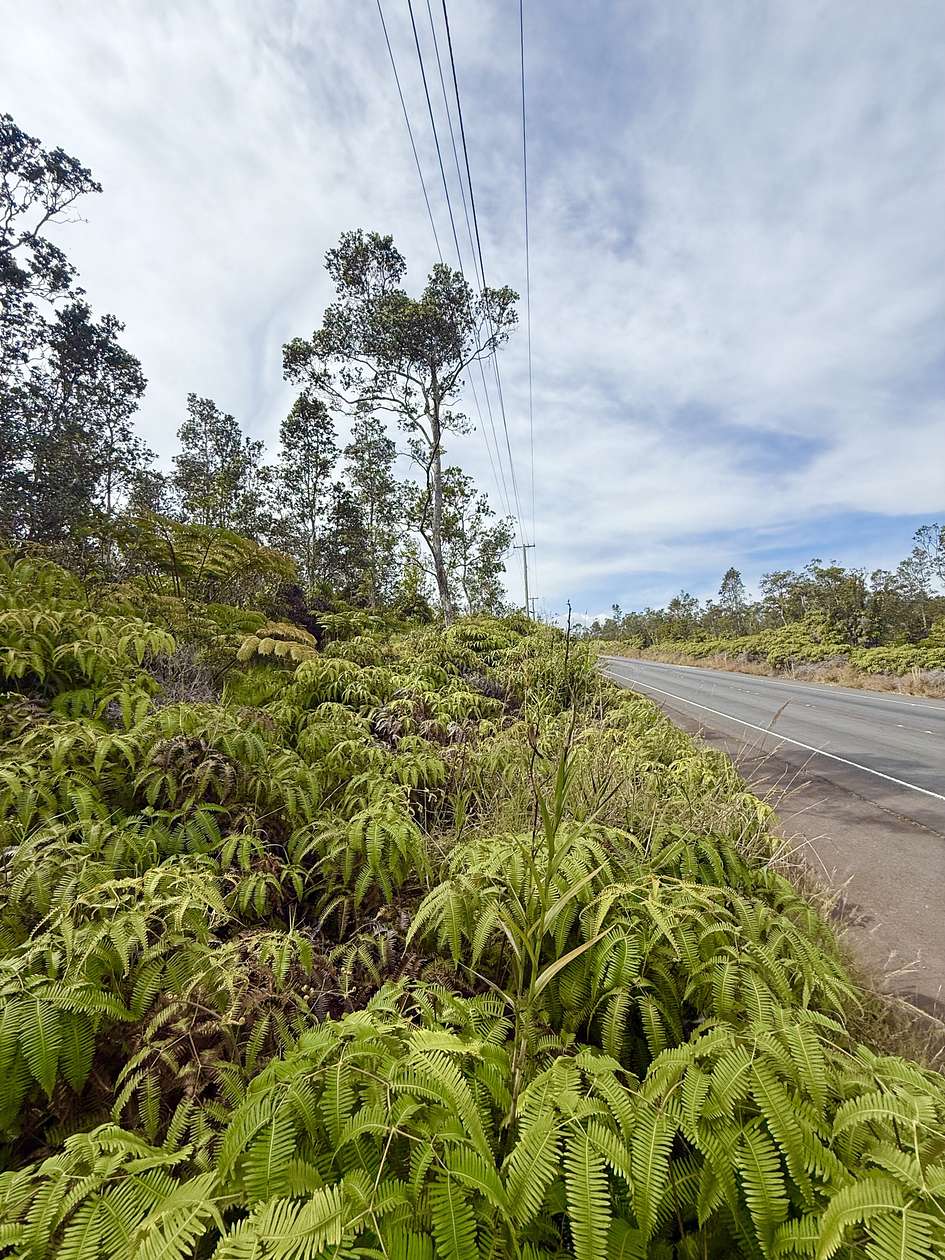 0.23 Acres of Land for Sale in Volcano, Hawaii