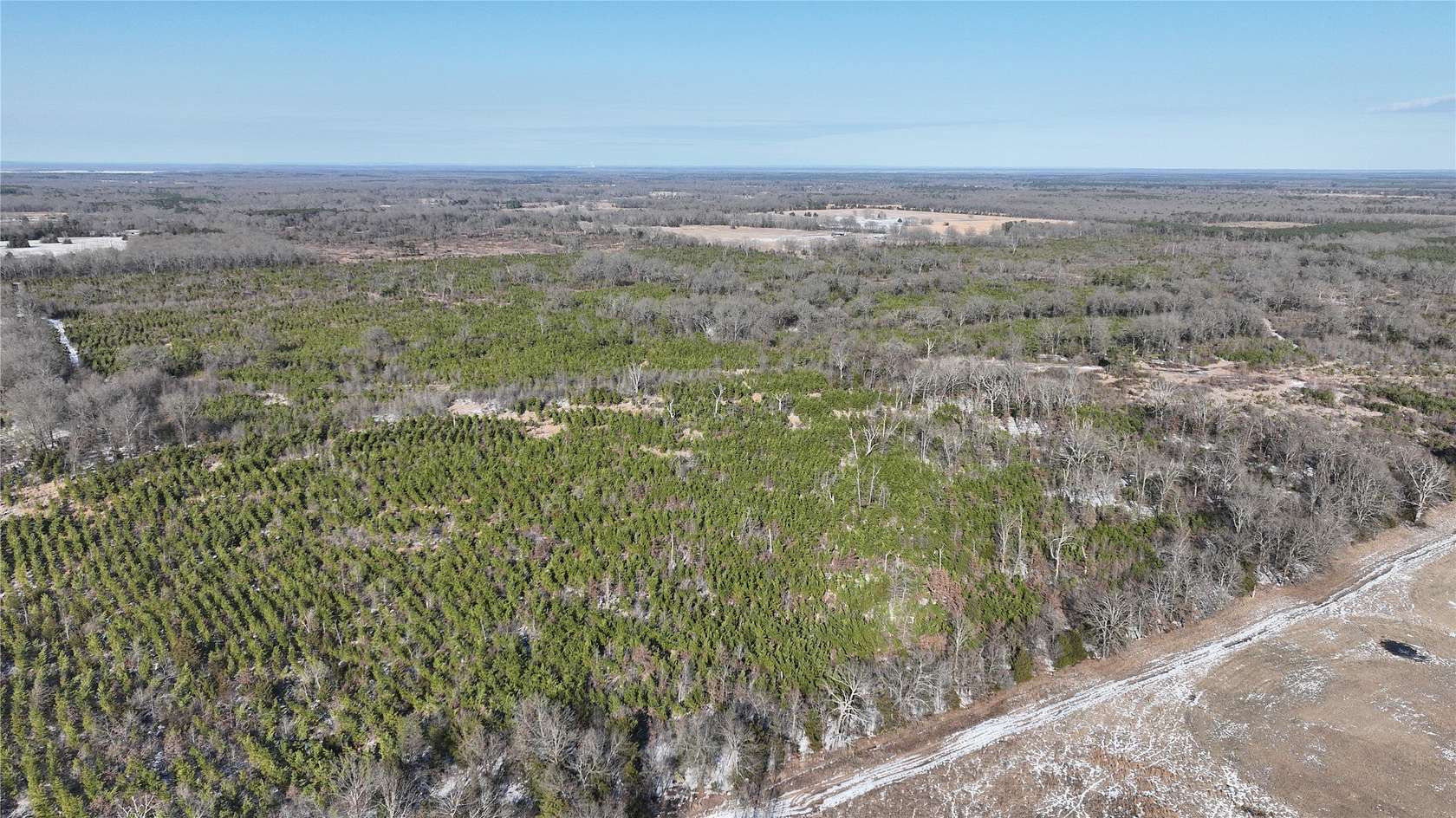 80.6 Acres of Land for Sale in Bagwell, Texas