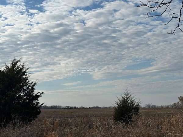 110 Acres of Land for Sale in Deport, Texas