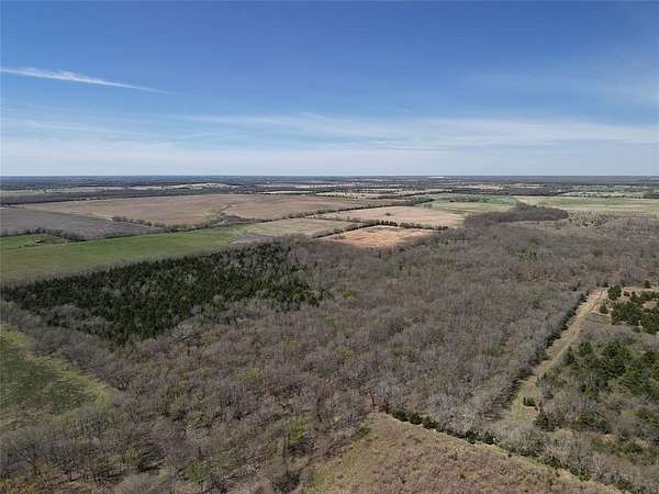 110 Acres of Land for Sale in Deport, Texas