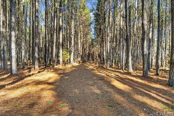 13.8 Acres of Land for Sale in Boydton, Virginia