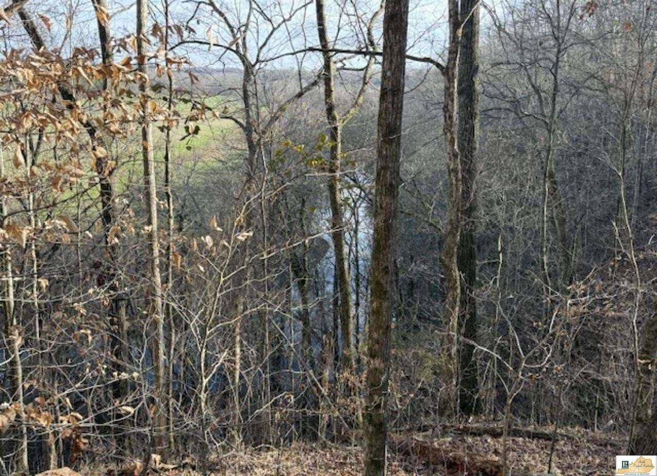 38.6 Acres of Land for Sale in Columbia, Kentucky