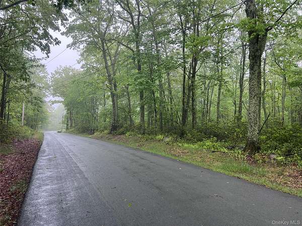 5.13 Acres of Residential Land for Sale in Wurtsboro, New York
