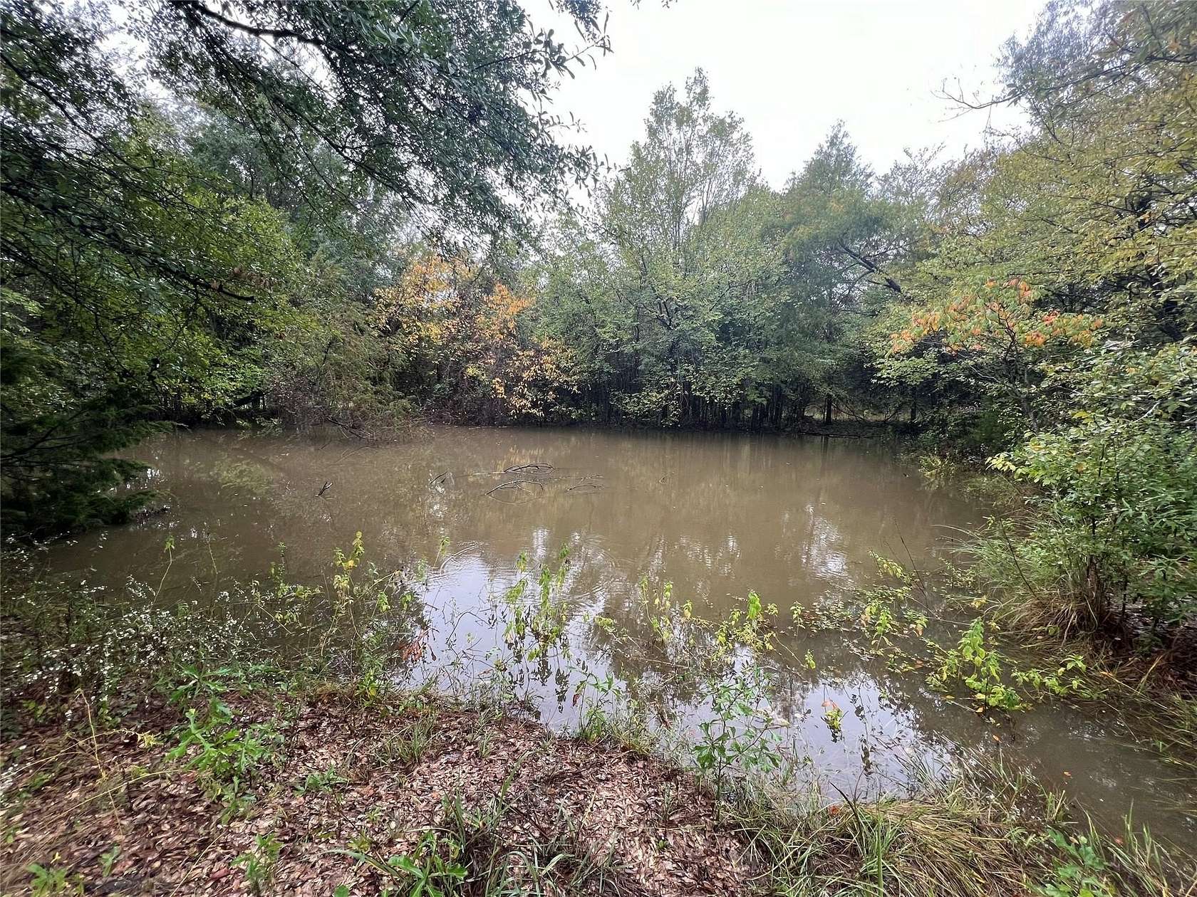 4.83 Acres of Residential Land for Sale in Wills Point, Texas