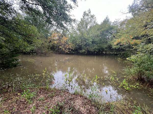 4.83 Acres of Residential Land for Sale in Wills Point, Texas
