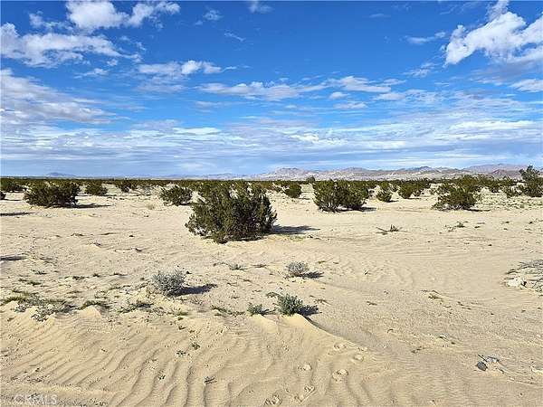 5 Acres of Residential Land for Sale in Twentynine Palms, California