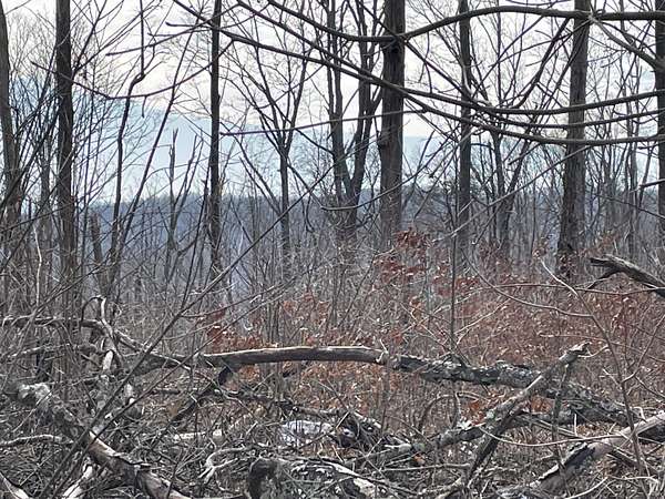 5 Acres of Land for Sale in Pikeville, Tennessee