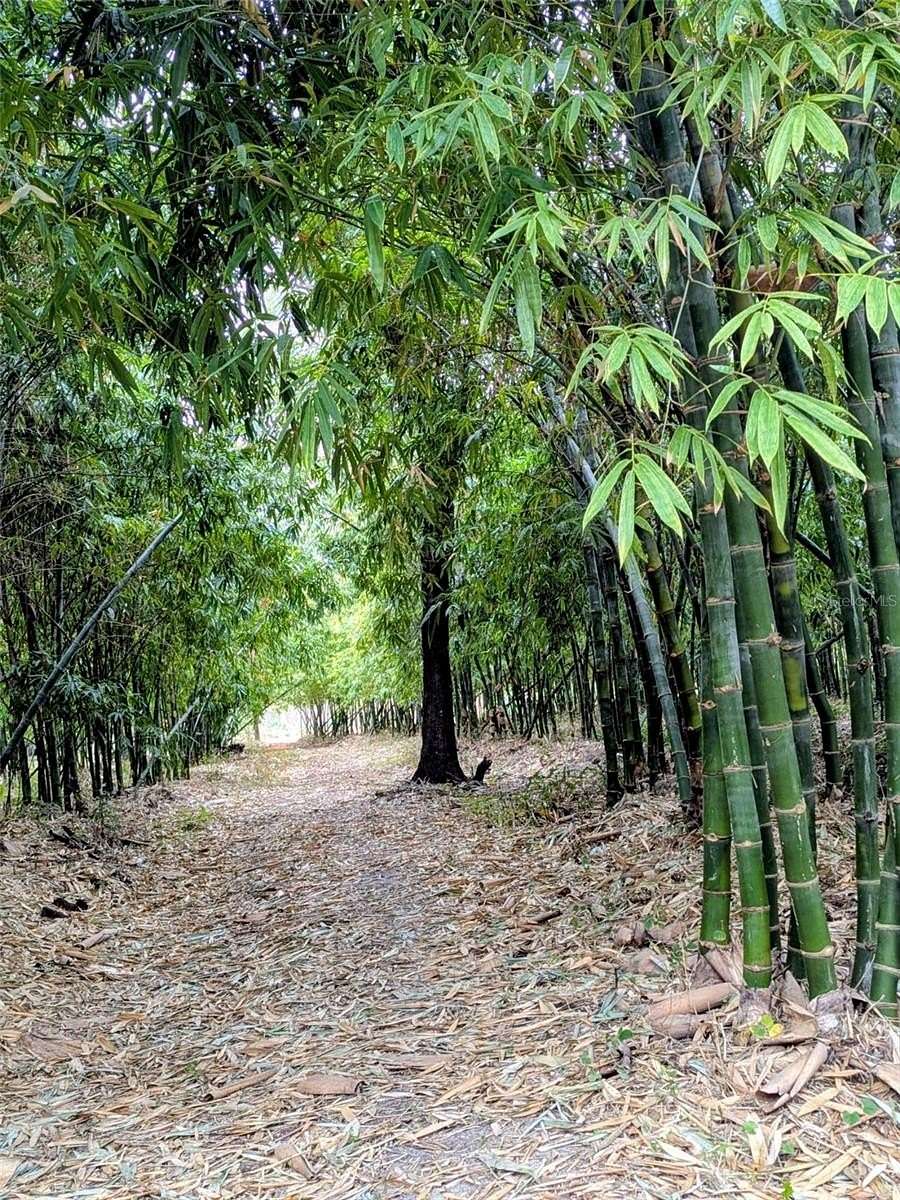 14.1 Acres of Agricultural Land for Sale in Lake Wales, Florida