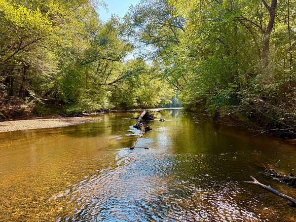 631 Acres of Recreational Land for Sale in Suttle, Alabama