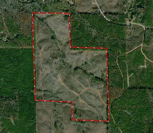 180 Acres of Recreational Land for Sale in Millport, Alabama