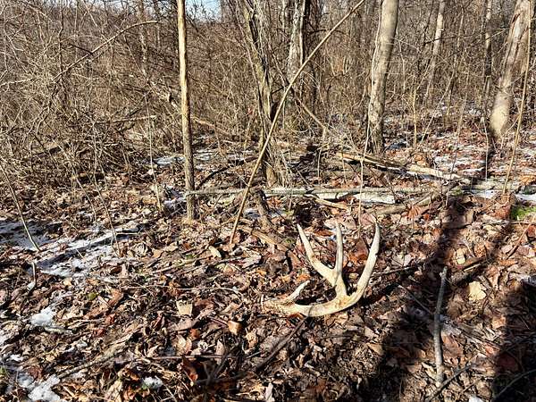 44 Acres of Recreational Land & Farm for Sale in Scenery Hill, Pennsylvania