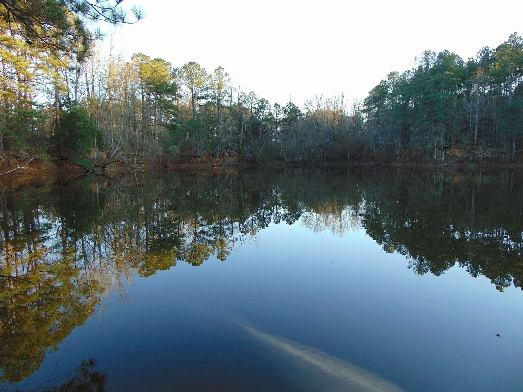 24.2 Acres of Land for Sale in Brookhaven, Mississippi