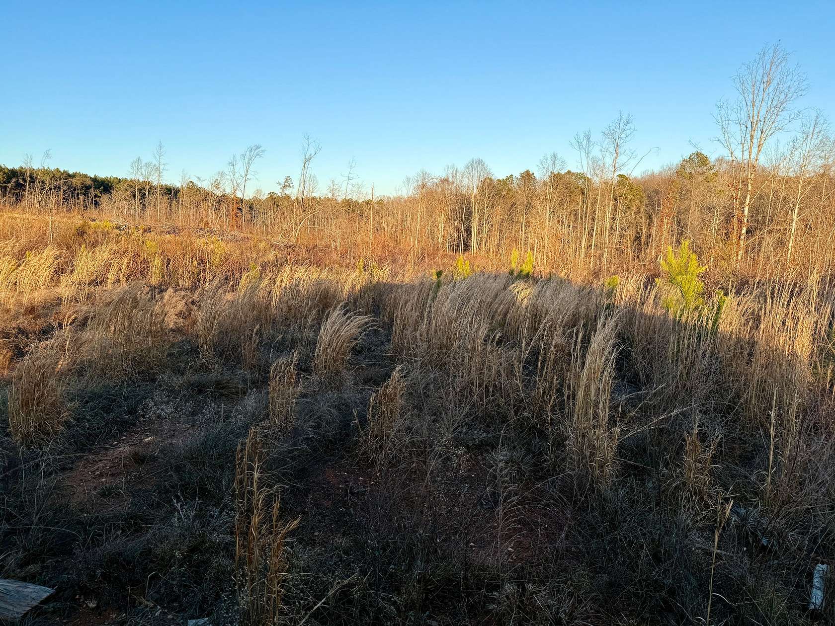 244 Acres of Recreational Land for Sale in Rayle, Georgia