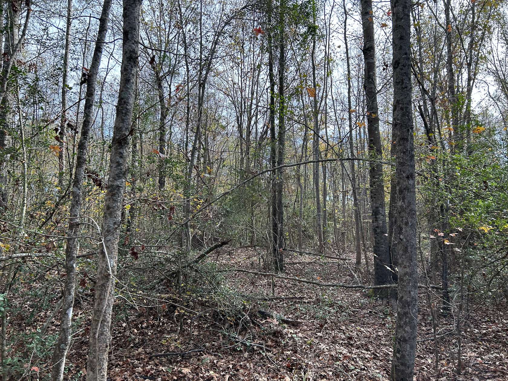 107 Acres of Land for Sale in Waskom, Texas