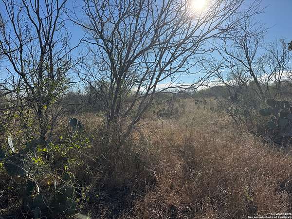 29.5 Acres of Land for Sale in Jourdanton, Texas