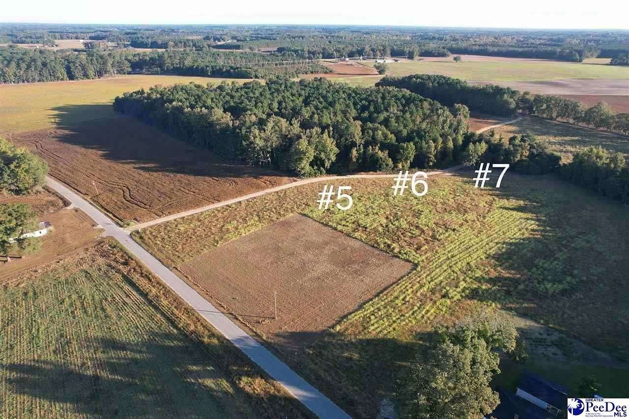 0.77 Acres of Residential Land for Sale in Hamer, South Carolina