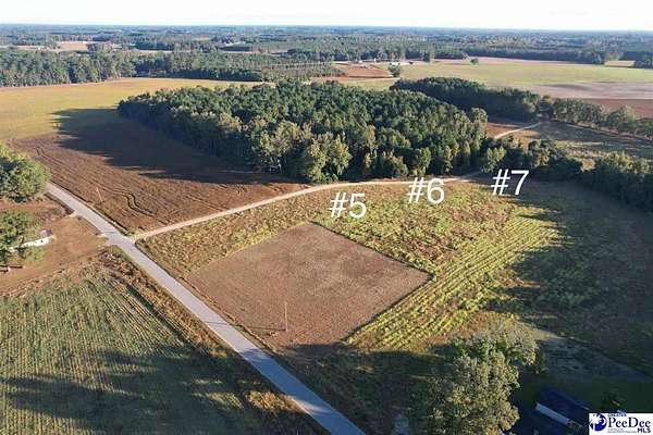 0.77 Acres of Residential Land for Sale in Hamer, South Carolina
