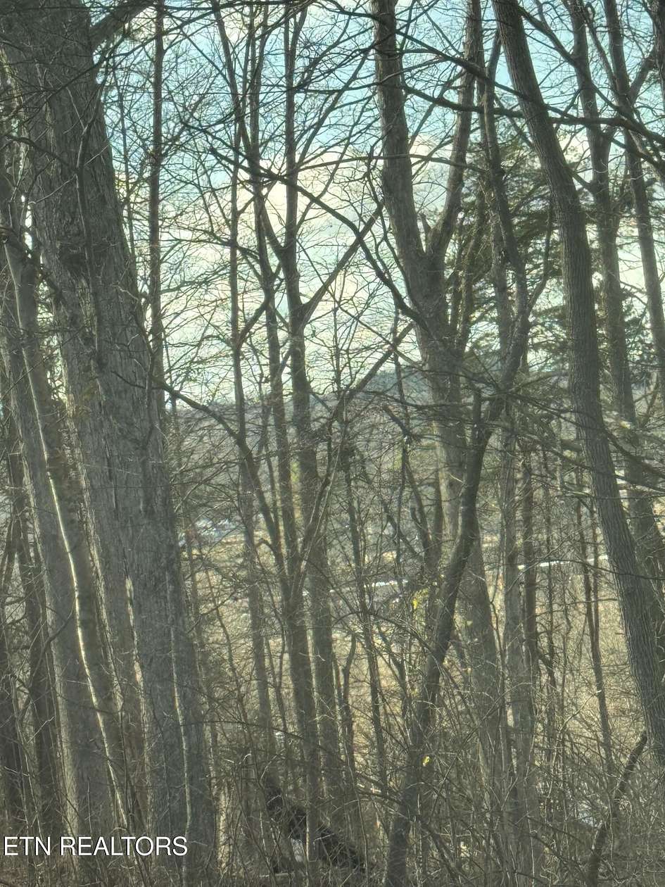 0.17 Acres of Land for Sale in Etowah, Tennessee