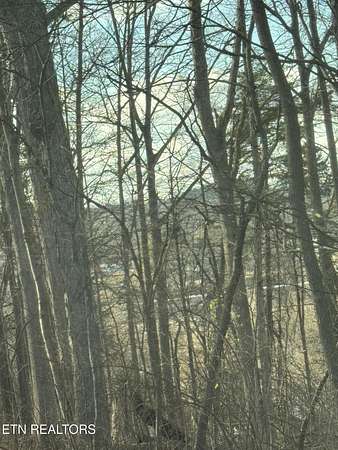 0.17 Acres of Land for Sale in Etowah, Tennessee