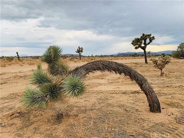 2.13 Acres of Residential Land for Sale in Yucca Valley, California