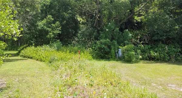 1.2 Acres of Residential Land for Sale in Orlando, Florida