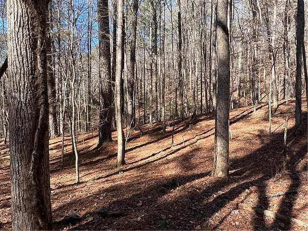 1.48 Acres of Residential Land for Sale in Ellijay, Georgia