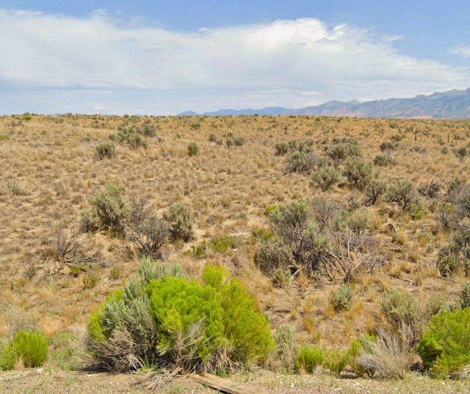 2.27 Acres of Residential Land for Sale in Spring Creek, Nevada