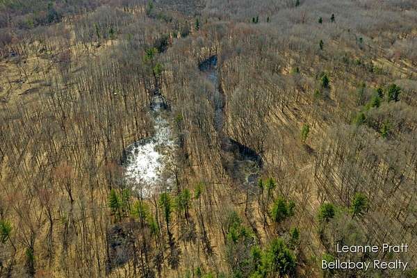 1.45 Acres of Land for Sale in Weidman, Michigan