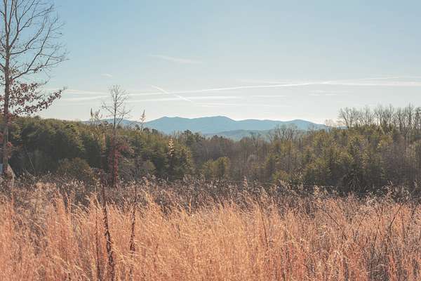 5.28 Acres of Residential Land for Sale in Tellico Plains, Tennessee