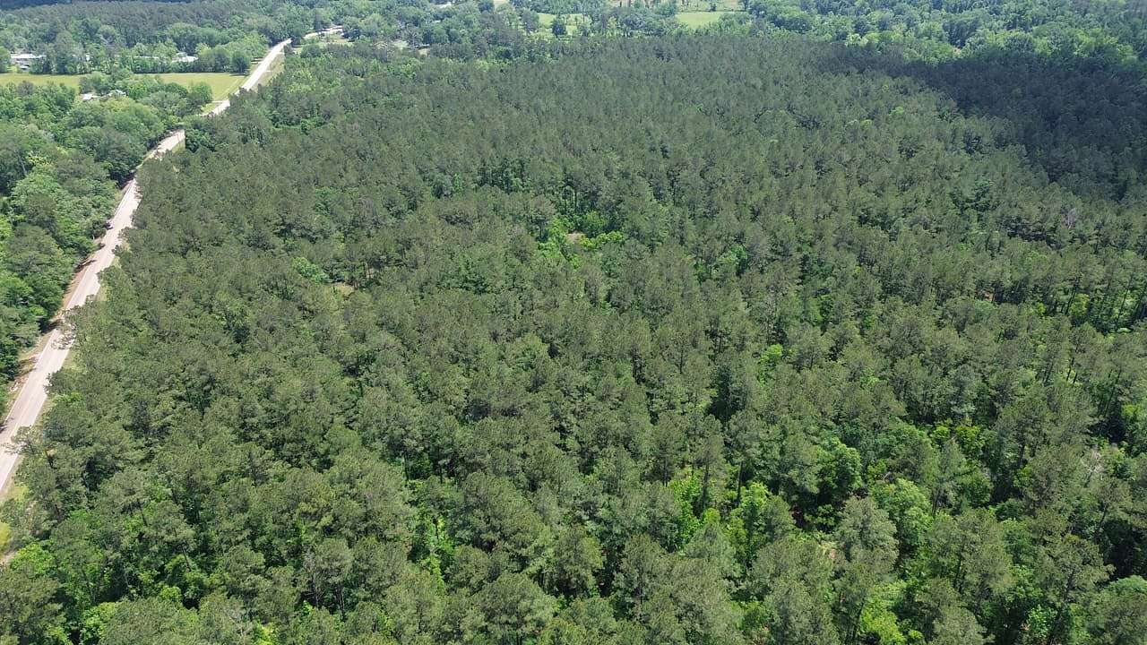 139 Acres of Recreational Land for Sale in Holden, Louisiana