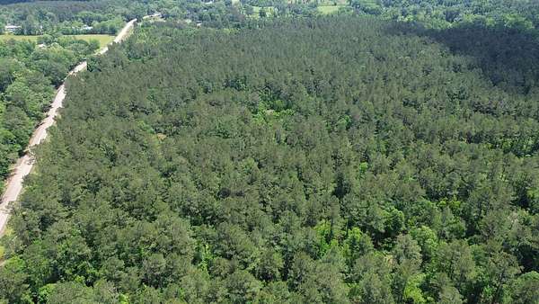 139 Acres of Recreational Land for Sale in Holden, Louisiana