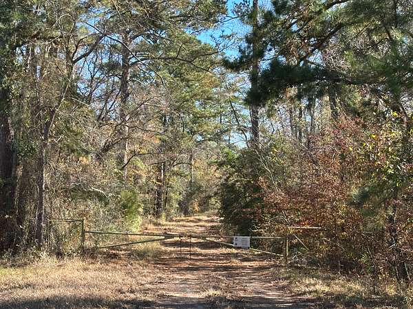 44 Acres of Recreational Land for Sale in Slocum, Texas