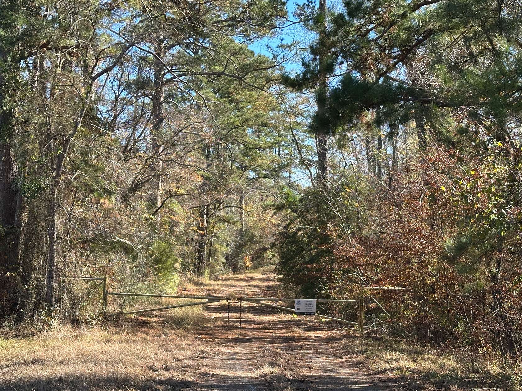 26 Acres of Recreational Land for Sale in Slocum, Texas