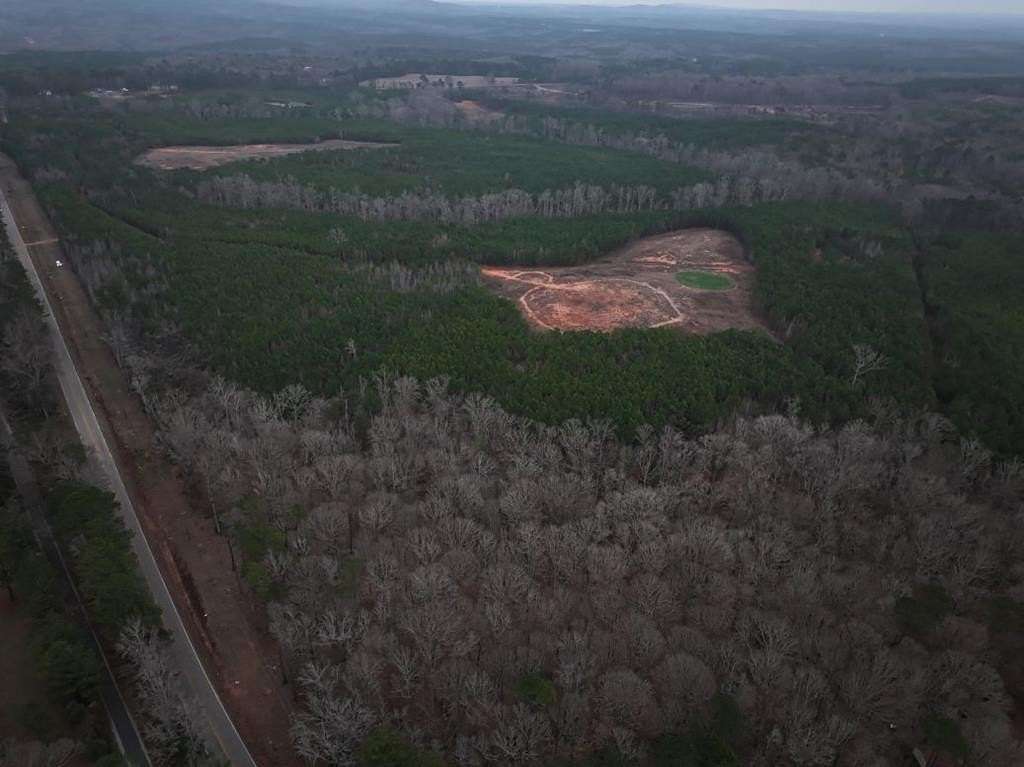 19.8 Acres of Land for Sale in Hamilton, Georgia