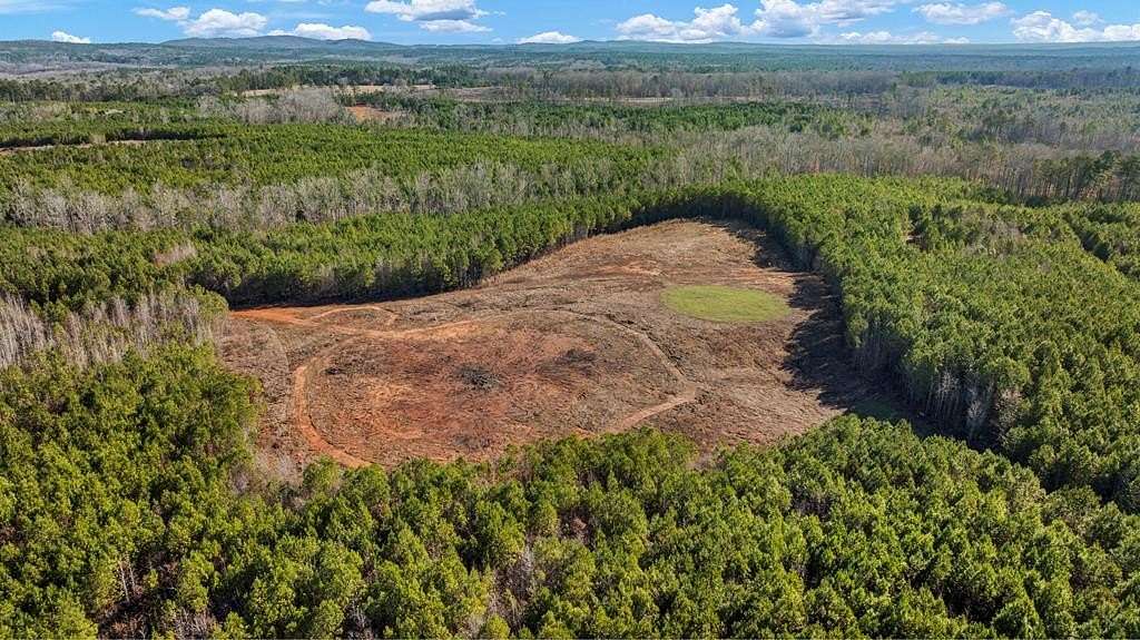 19.8 Acres of Land for Sale in Hamilton, Georgia