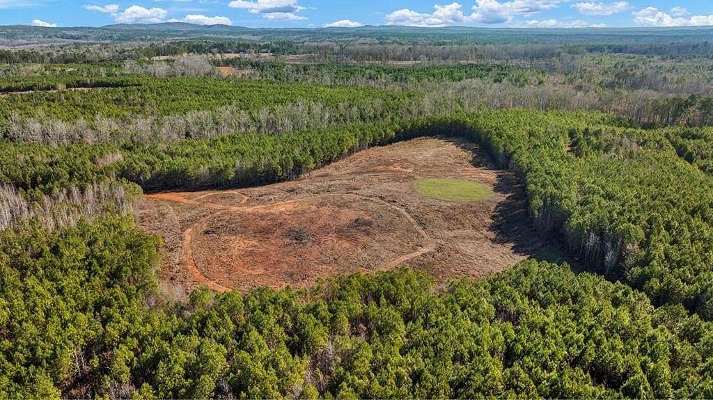 28.6 Acres of Land for Sale in Hamilton, Georgia