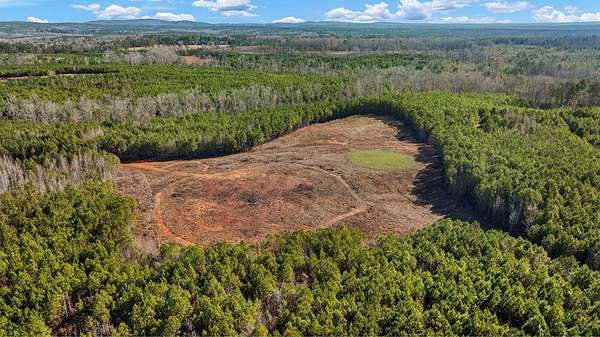 19.8 Acres of Land for Sale in Hamilton, Georgia