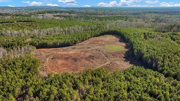 28.6 Acres of Land for Sale in Hamilton, Georgia