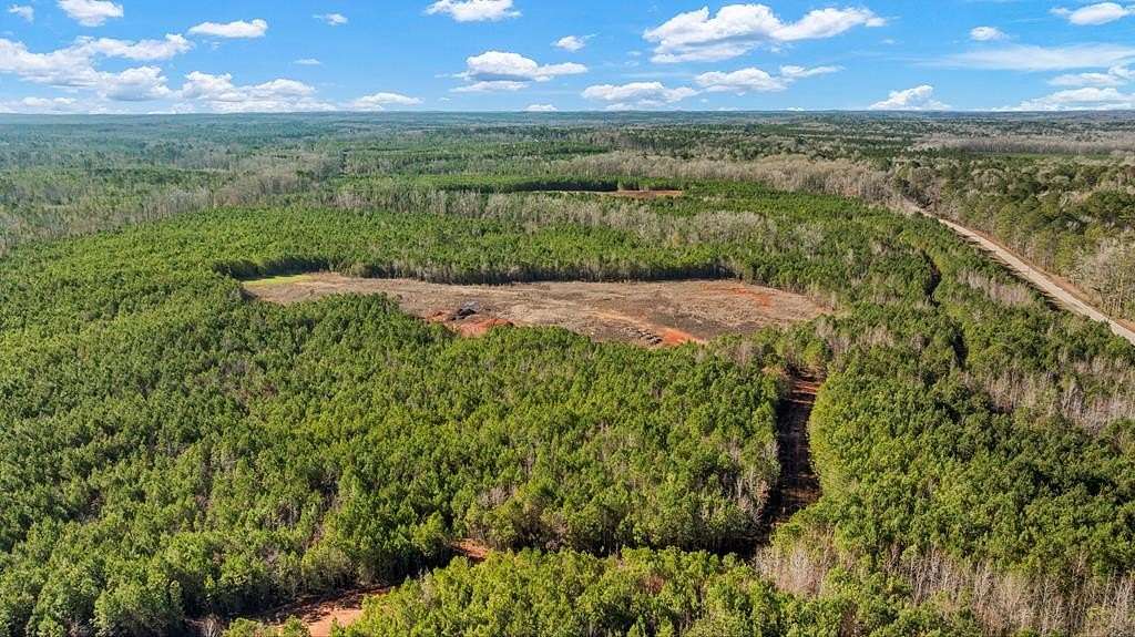 12.8 Acres of Land for Sale in Hamilton, Georgia