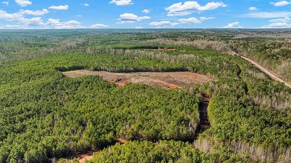 12.8 Acres of Land for Sale in Hamilton, Georgia