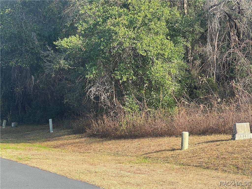 0.35 Acres of Residential Land for Sale in Hernando, Florida